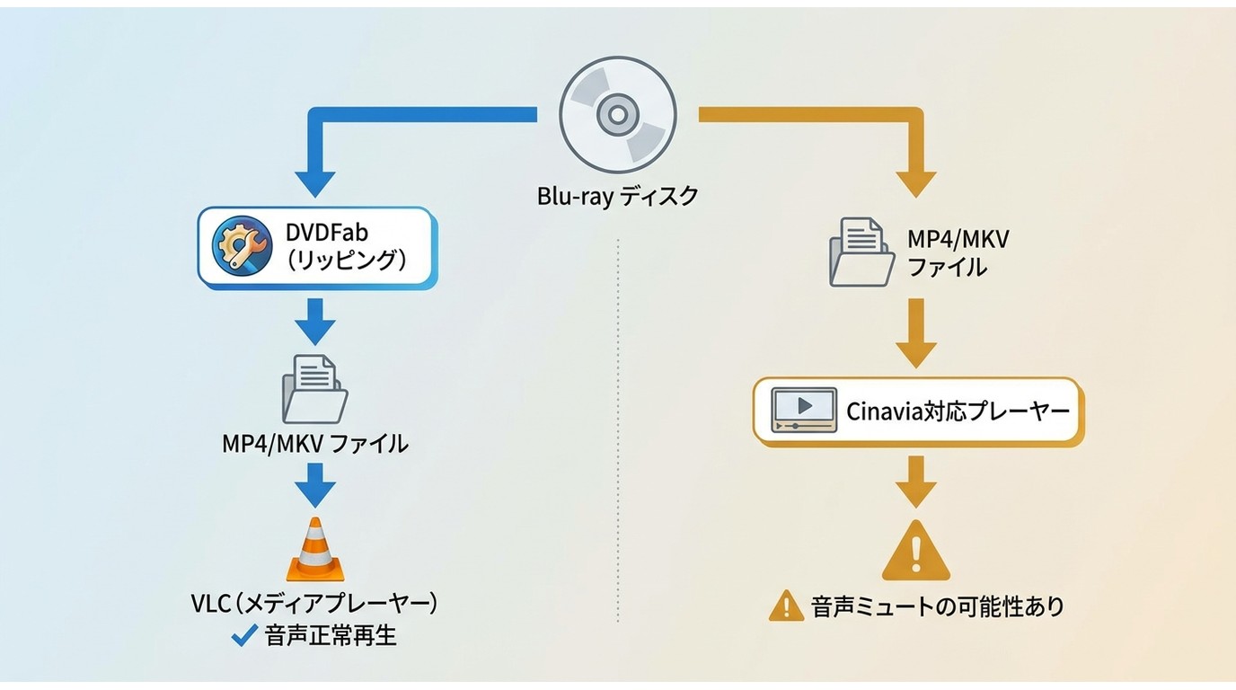 Blu-rayをMP4やMKVに変換してもCinaviaウォーターマークが残る場合があることを示す図