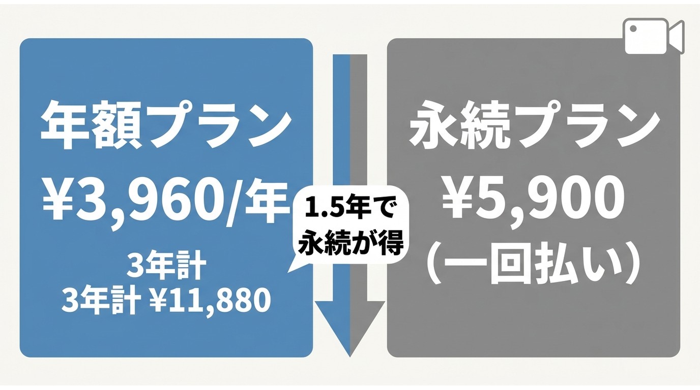 Bandicamの年間ライセンスと永続ライセンスの料金比較